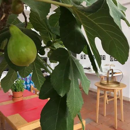 Residencial Avenida אכסניה *