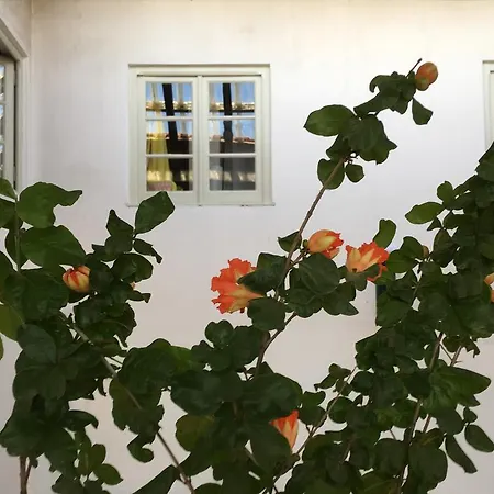 Residencial Avenida * טומאר