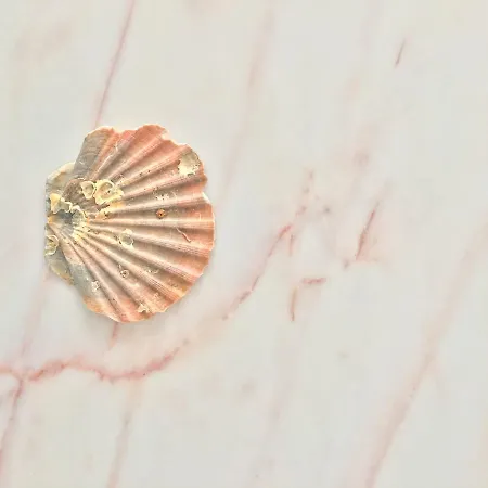 Residencial Avenida *