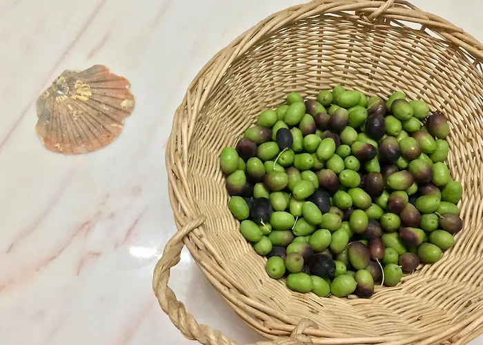 Residencial Avenida *