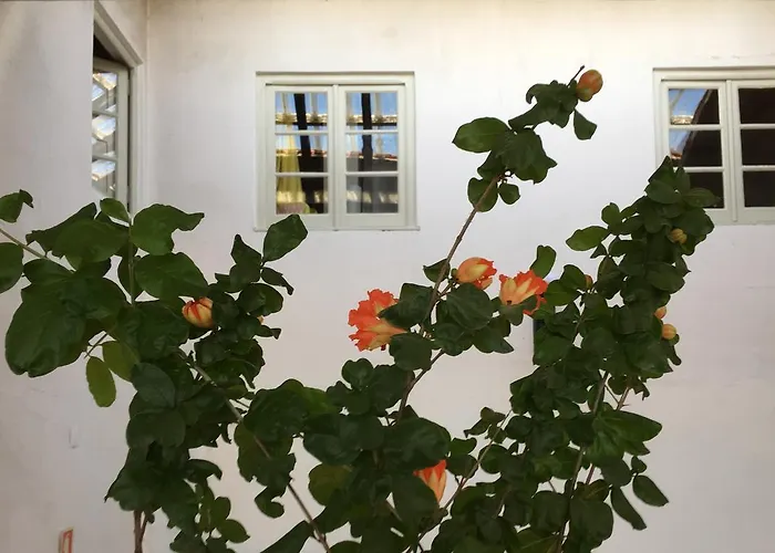 Residencial Avenida * טומאר